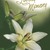 Arlene Marie STOKES